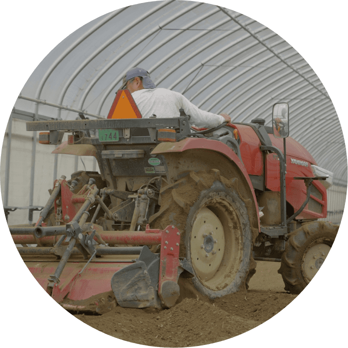 有限会社 山口農園